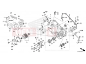 HONDA CRF300LAM CRF300L 2021 E-6 RIGHT CRANKCASE COVER