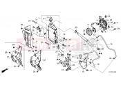 HONDA CRF300LAM CRF300L 2021 F-41 RADIATOR