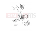 Triumph 2005 DAYTONA 600 & 650 Engine Covers - Daytona 600