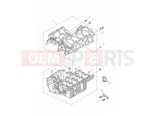 Triumph 2005 DAYTONA 600 & 650 Crankcases