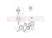 Triumph 1995 TRIDENT Lubrication System