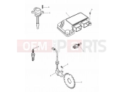 Triumph 1997 SPEED TRIPLE 885cc\955cc (EFI) > 141871 Engine Management System
