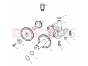 Triumph 1997 SPEED TRIPLE 885cc\955cc (EFI) > 141871 Oil Pump Drive
