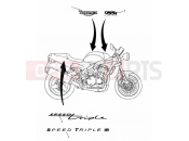 Triumph 1998 SPEED TRIPLE 885cc\955cc (EFI) > 141871 Bodywork Decals 955cc Engine