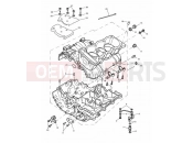 Triumph 1999 SPEED TRIPLE 885cc\955cc (EFI) > 141871 Crankcase