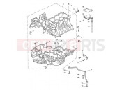 Triumph 2009 SPEED TRIPLE 210445 > 461331 Crankcase & Fittings