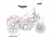 Triumph 2010 SPEED TRIPLE 210445 > 461331 Bodywork Decals 333178