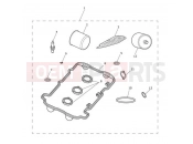 Triumph 2010 SPEED TRIPLE 210445 > 461331 Service Kits with Fuel Filter