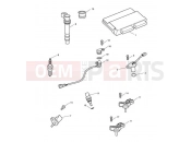 Triumph 2015 SPEED TRIPLE 461332 > 735437 Engine Management System