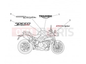 Triumph 2011 SPEED TRIPLE 461332 > 735437 Decals 657553