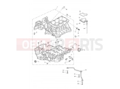 TRIUMPH Speed Triple S Crankcase & Fittings