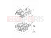 Triumph 2005 SPEED FOUR Crankcases