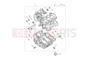 Triumph 2021 TRIDENT 660 Crankcase & Fittings