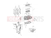 Triumph 2019 THRUXTON Cylinder Head & Valves