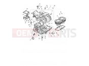 TRIUMPH Thruxton RS Crankcase & Fittings