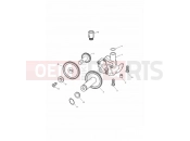 TRIUMPH SPRINT ST > 139276 Oil Pump & Drive