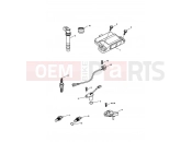 Triumph 2012 SPRINT GT Engine Management System