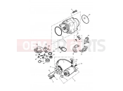 Triumph 2000 ADVENTURER Alternator & Starter