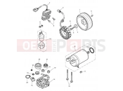 Triumph 2010 BONNEVILLE T100 EFI Starter & Alternator