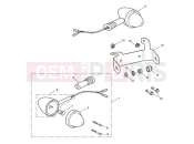Triumph 2010 BONNEVILLE T100 EFI Front Indicators