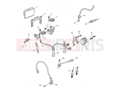 Triumph 2010 BONNEVILLE T100 EFI Ignition System