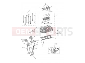 Triumph 2020 BONNEVILLE T100 BLACK Cylinder Head & Valves