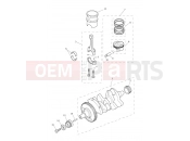 TRIUMPH Tiger 800 > 674841 TIGER 800 Crankshaft, Connecting Rods...