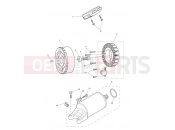 Triumph 2019 TIGER 800 XCX 855532 > Starter & Alternator