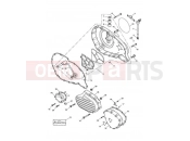Triumph 2004 SPEEDMASTER CARBS Engine Covers
