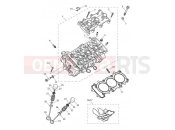 TRIUMPH Tiger 900 Rally Pro Cylinder Head & Valves