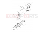 Triumph 2019 TIGER 1200 XCX Crankshaft, Connecting Rods...