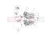 TRIUMPH TIGER 1200 XRT Crankcase & Fittings