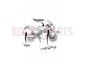 Triumph 1998 TROPHY 29156 > Bodywork - Decals