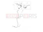 Triumph 2020 SPEED TWIN Clutch Controls