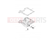 TRIUMPH SCRAMBLER CARB Sump & Fittings