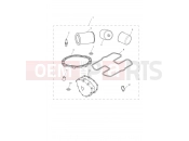 Triumph 2008 SCRAMBLER EFI Service Kit Eng No 456552