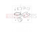Triumph 2008 SCRAMBLER EFI Service Kit Eng No 456551
