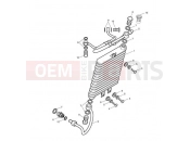 Triumph 2012 SCRAMBLER EFI Oil Cooler