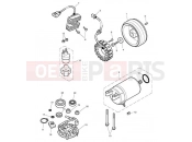 Triumph 2012 SCRAMBLER EFI Starter & Alternator