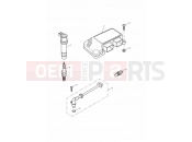 Triumph 2000 TT600 Engine Management System
