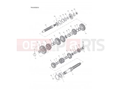 Triumph 2000 TT600 Transmission