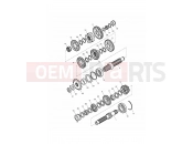 Triumph 2011 THRUXTON 900 EFI Transmission