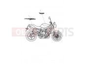 Triumph 2008 STREET TRIPLE > 560476 Bodywork Decals 480781