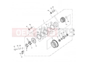 Triumph 2008 STREET TRIPLE > 560476 Clutch