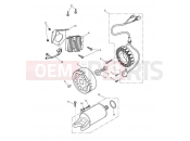 Triumph 2008 STREET TRIPLE > 560476 Alternator & Starter Motor