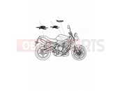 Triumph 2009 STREET TRIPLE R > 560476 Bodywork Decals 482181