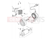 Triumph 2009 STREET TRIPLE R > 560476 Alternator & Starter Motor