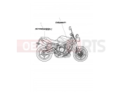 Triumph 2011 STREET TRIPLE R > 560476 Bodywork Decals 482182
