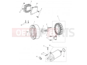 TRIUMPH STREET TRIPLE R 560477 > 806645 Alternator & Starter Motor