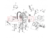 TRIUMPH STREET TRIPLE R 560477 > 806645 Oil pump drive